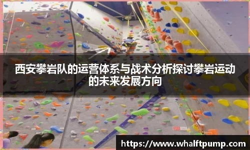 西安攀岩队的运营体系与战术分析探讨攀岩运动的未来发展方向