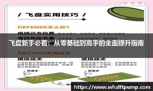 飞盘新手必看：从零基础到高手的全面提升指南