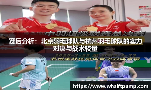 赛后分析：北京羽毛球队与杭州羽毛球队的实力对决与战术较量