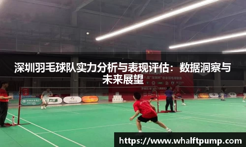 深圳羽毛球队实力分析与表现评估：数据洞察与未来展望