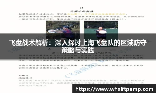 飞盘战术解析：深入探讨上海飞盘队的区域防守策略与实践