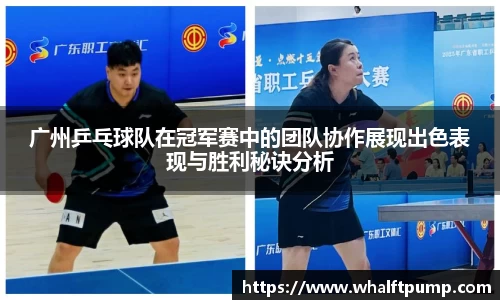 广州乒乓球队在冠军赛中的团队协作展现出色表现与胜利秘诀分析