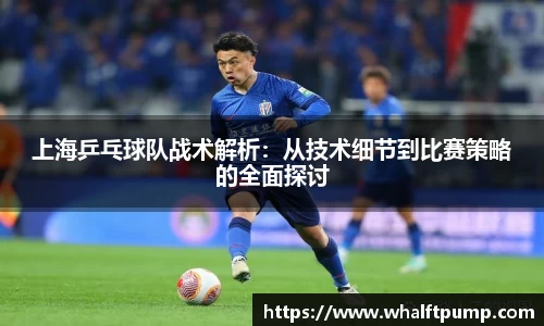 上海乒乓球队战术解析：从技术细节到比赛策略的全面探讨