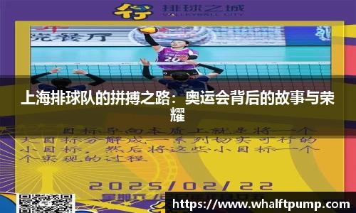 上海排球队的拼搏之路：奥运会背后的故事与荣耀