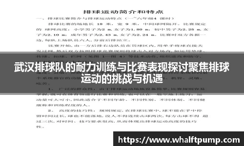 武汉排球队的耐力训练与比赛表现探讨聚焦排球运动的挑战与机遇