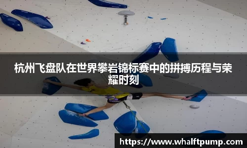 杭州飞盘队在世界攀岩锦标赛中的拼搏历程与荣耀时刻