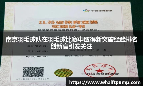 南京羽毛球队在羽毛球比赛中取得新突破经验排名创新高引发关注