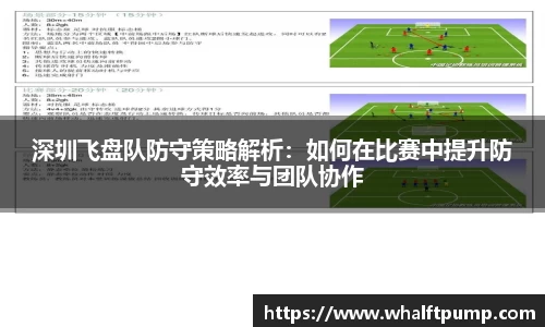 深圳飞盘队防守策略解析：如何在比赛中提升防守效率与团队协作