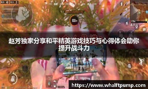 爱游戏ayx官方网站