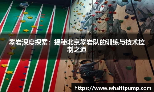 攀岩深度探索：揭秘北京攀岩队的训练与技术控制之道